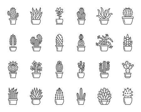 Top Cactus Drawings Stock Vectors, Illustrations & Clip Art - iStock