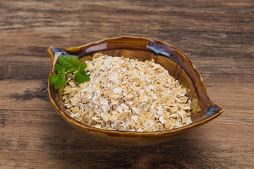 Raw oats in the bowl