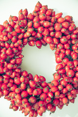 frame from healthy red rosehip berries