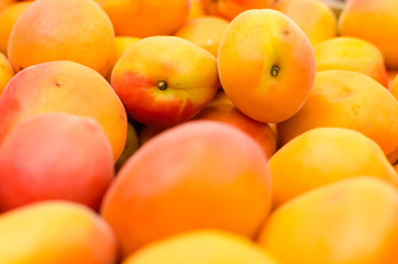 Close up detail of beautiful ripe orange apricots 