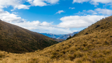 Obraz premium Grass range