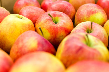 Naklejka na ściany i meble Close up detail of fresh apples 