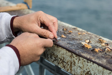 Angler auf der Galata Köprüsü Brücke Istanbul Fischköder Zubereitung