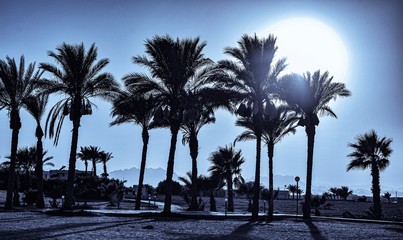 Obraz premium sunset on beach