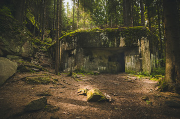 Old and abandoned bunker in forest covered with moss 