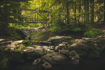 Old bridge in deep forest with rocks and river below 