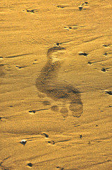 Fototapeta na wymiar A footprint