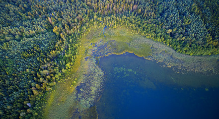 Aerial landscape from the drone - coastline