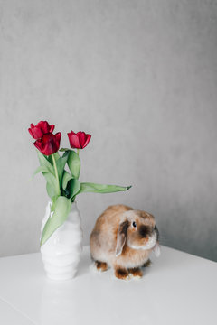 Adorable bunny sniffing flower