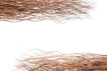 Wet brown hair isolated on white. Background, copy space