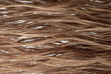 Wet brown  hair as background, texture