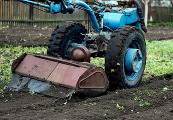 Obraz premium Old hand tractor cultivating soil, motor block, on homestead field outdoors in the garden, soil is getting mellow, a green belt of sideration culture on the backjground, crop, closeup