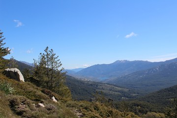 Fototapeta premium calacuccia lake view with mountains and blue sky with pines in the front in corsica