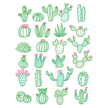 Cute hand drawn vector cactus without pots color outlined illustration. Set of cute hand drawn green line cacti with pink flowers.