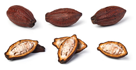 set of cocoa pod