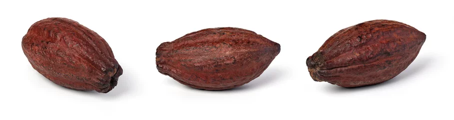 Fototapeten Satz Kakaofrucht © Gresei
