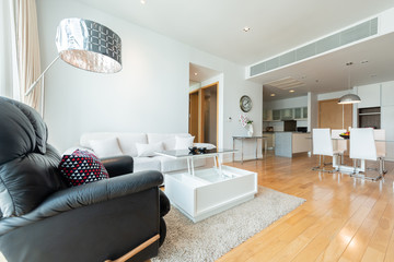 Interior, beautiful apartment, luxurious living room