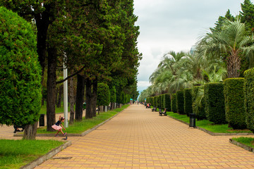 Street in the park for walks and relaxation.