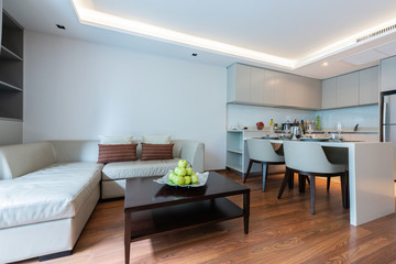 Modern living room and kitchen in small apartment 