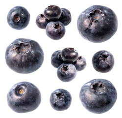 set of fresh blueberry fruits cut out on white