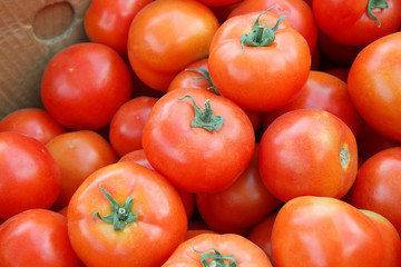 tomatoes on a black background