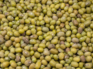 Mash. Lots of green beans. Still life on the screen saver. Harvest.