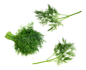 set of fresh dill herbs cut out on white