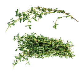 set of fresh thyme bundle and twig cut out