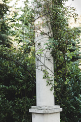 white column in garden wrapped with  rambler roses