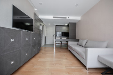 Modern living room and kitchen in small apartment 