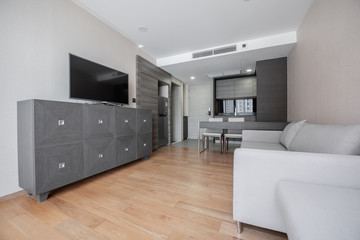 Modern living room and kitchen in small apartment 