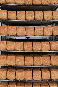 Freshly baked loaves of sprouted organic bread on a cooling rack.