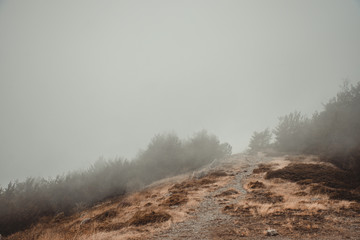 Hügel im Nebel