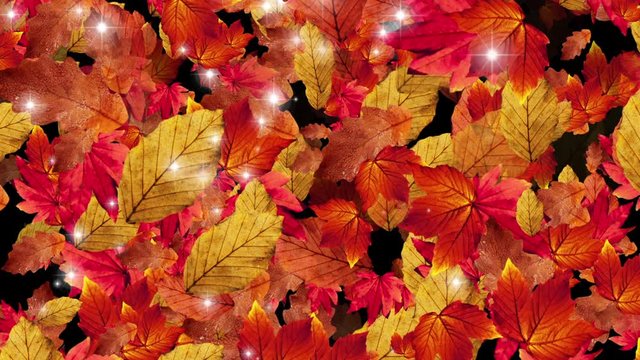 Particles leaves magic stars background loop