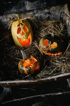 Three Laughing Pumpkins for Halloween