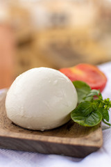 Italian mozzarella soft cheese ball served with basil and tomato on wooden plank with yellow houses in old Italian town on background