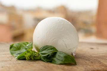 Italian mozzarella soft cheese ball served on wooden plank with yellow houses in old Italian town on background