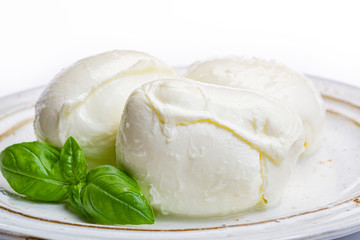 Italian soft cheese mozzarella, white cheese made from cow or buffalo milk with fresh green basil herb