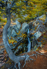 Cascadas gemelas