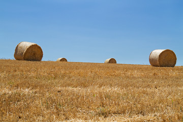 Circular strawbales on a field