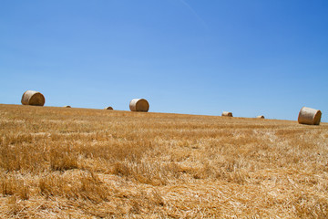 Circular strawbales on a field