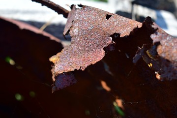 Rusty metal barrel and rotten iron.