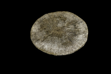 Macro mineral stone Pyrite on a black background