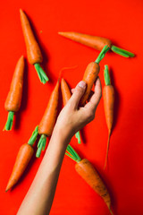 A bunch of fresh carrots in hand on red background.