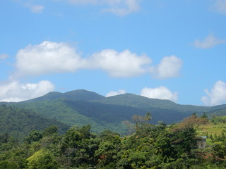Fototapeta na wymiar Montagne de Guadeloupe