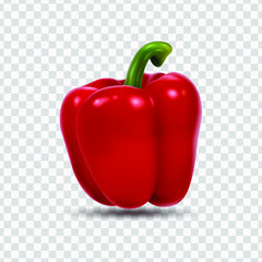 Red bell pepper isolated on transparent background, sweet paprika, vegetable, healthy food, spice. 3D effect, vector illustration. EPS10