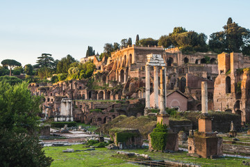 Naklejka na ściany i meble Roman Forum. Image of Roman Forum in Rome, Italy during a morning, Europe