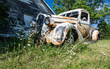 Old Plymouth Pickup Truck Surrounded by wildflowers 