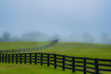 Foggy morning in the country