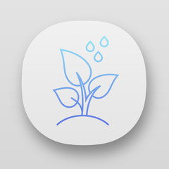 Trees planting app icon. Reforestation volunteer project. Small plant and water drops. Care of young seedling. UI/UX user interface. Web or mobile applications. Vector isolated illustrations